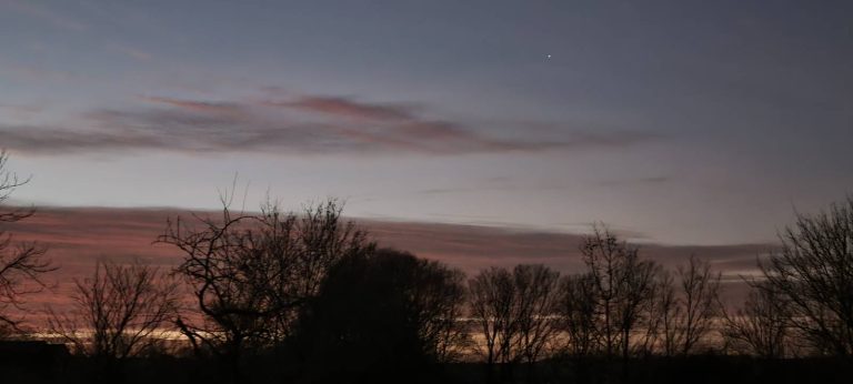 chestnut farm 1 768x346