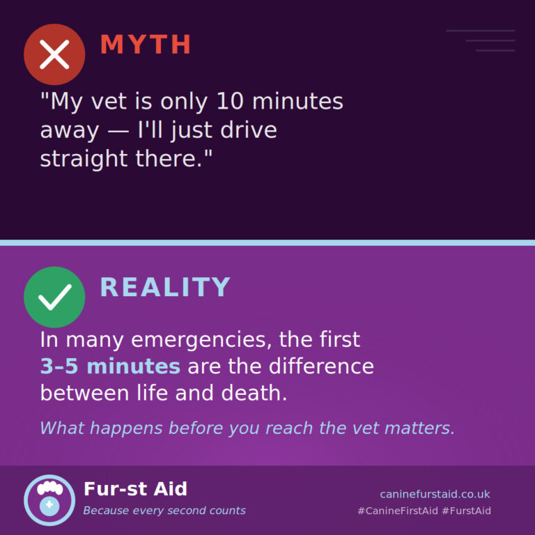 FurstAid Post day2 768x768